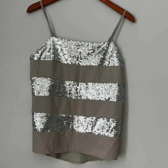 DAVI & DANI Tops - Sequin Striped Silver and Gray Women's Top size M NWT